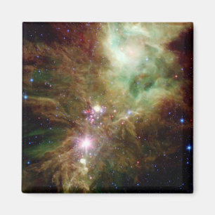Imã Estrelas recém-nascidas no conjunto da árvore de