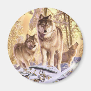 Imã "Estrelas sob a neve "