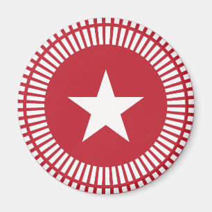 Imã Estrelas Vermelhas e Brancas e Listras