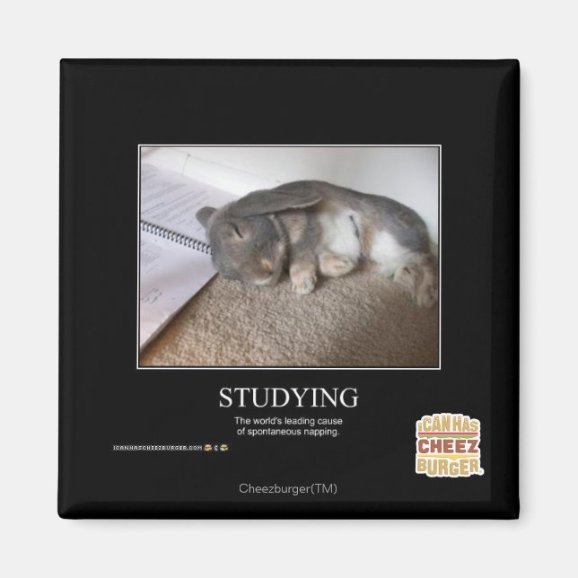 Imã Estudo (Frente)