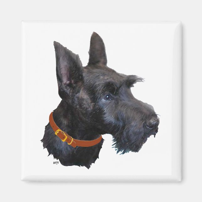 Imã Estudo da Cabeça do Terrier Escocês (Frente)