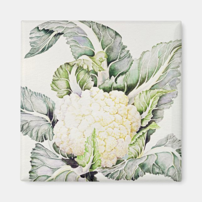 Imã Estudo da couve-flor 1993 (Frente)