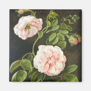 Imã Estudo da flor