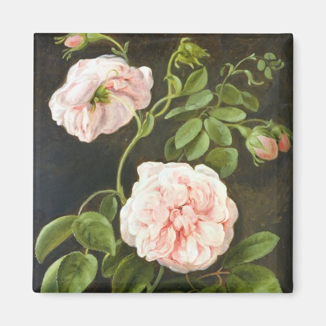 Imã Estudo da Flor (Frente)