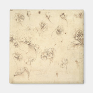 Imã Estudo das Flores de Plantas Forrageiras (Briza M