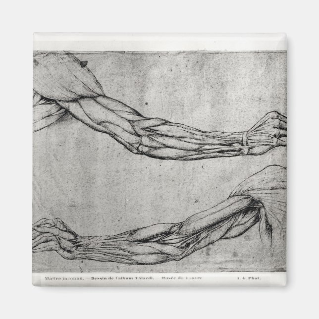 Imã Estudo de Armas (Frente)