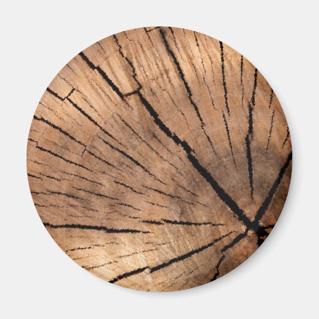 IMÃ ESTUDO DE ÁRVORE (Frente)