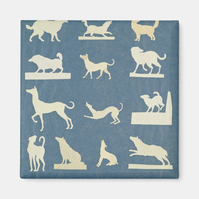 Imã Estudo de Cães (Frente)