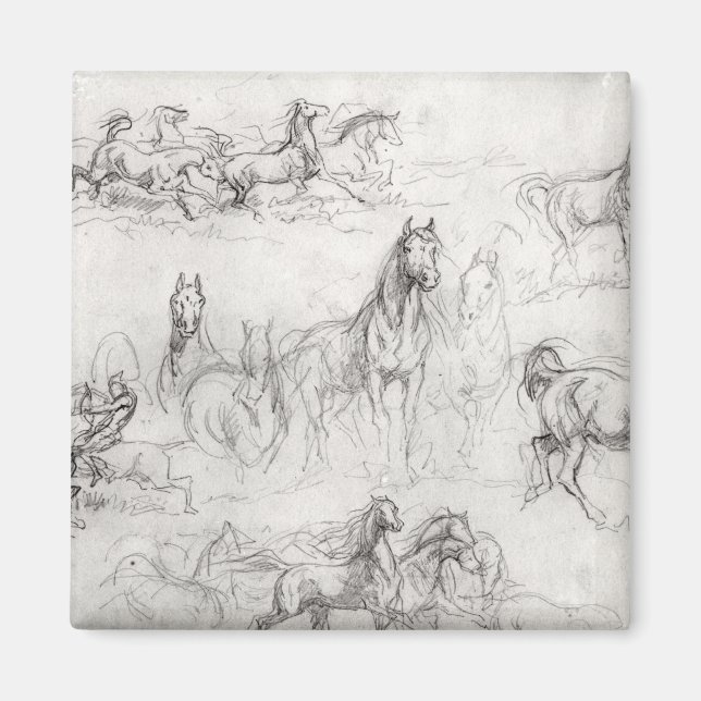 Imã Estudo de Cavalos (Frente)