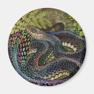 Imã Estudo de Cobra de jardineiro além da pele