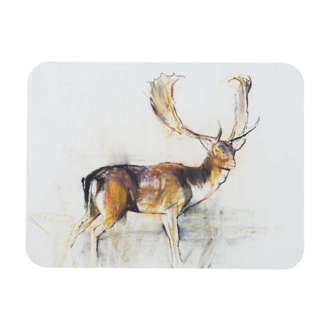 Ímã Estudo de Stag (Horizontal)