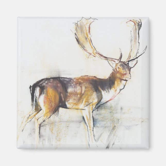 Imã Estudo de Stag (Frente)