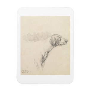 Ímã Estudo de um cão, 1794 (lápis no papel)