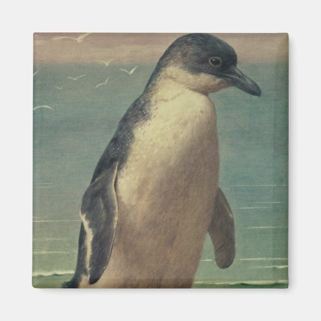 Imã Estudo de um Pinguim (Frente)