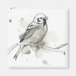 Imã Estudo Gestural sobre Aves