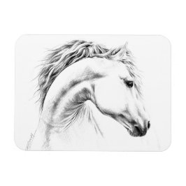 Ímã Estudo-retrato de cavalos desenhando arte equestre