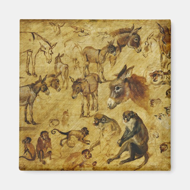 Imã Estudos de Animais: Macacos, Macacos, Gatos e Cães (Frente)