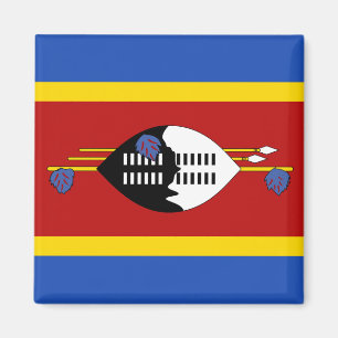 Imã Eswatini Flag Magnet