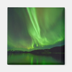 Imã Eterno Aurora