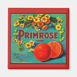 Imã Etiqueta da empresa de fruta de laranjas de vinage