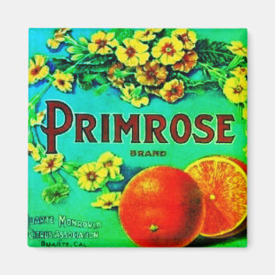 Imã Etiqueta da empresa de fruta de laranjas de vinage