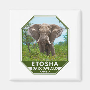 Imã Etosha National Park Namibia Elephant Watercolor