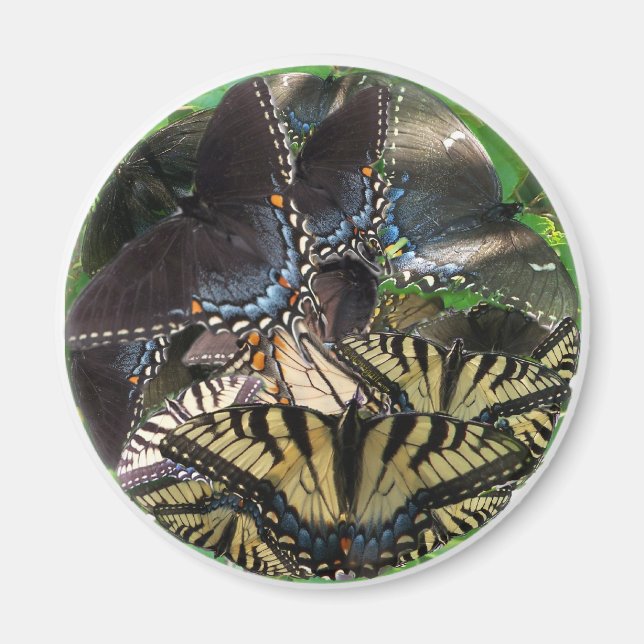 Imã ets_yin_zazzle (Frente)