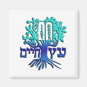 Imã Etz Chaim