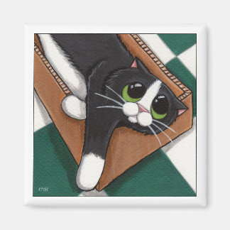 Imã Eu acho que é um magnata de gato confortável
