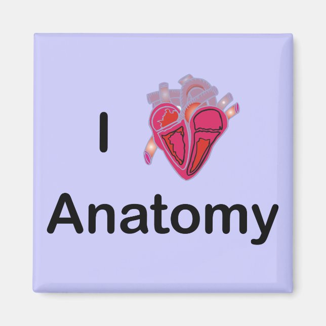 Imã Eu adoro anatomia com coração humano! (Frente)