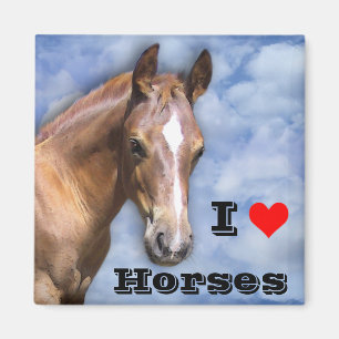 Imã Eu adoro Cavalos 🐎