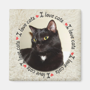 Imã Eu Adoro Gatos