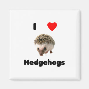 Imã Eu adoro hedgehogs Magnet