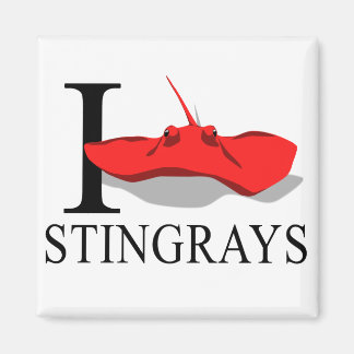 Imã Eu Adoro Magnets De Stingrays