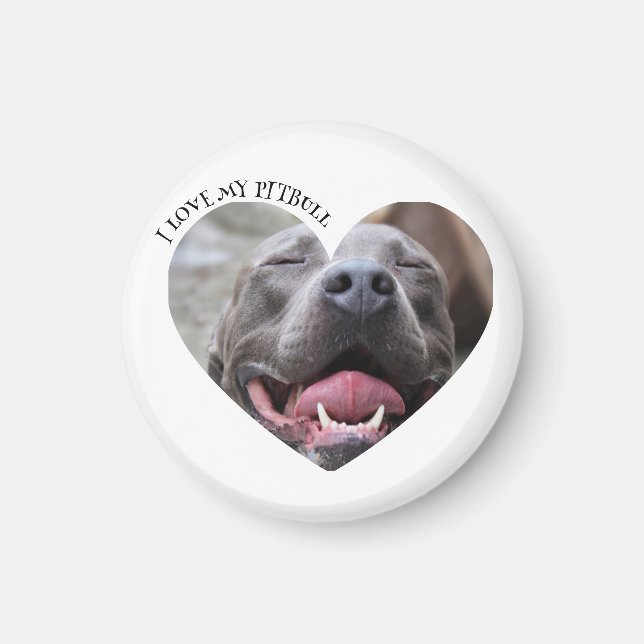 Imã Eu adoro minha foto personalizada de cachorro pitb (Frente)