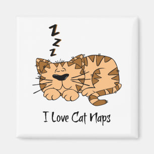 Imã Eu Adoro Nozes De Gato