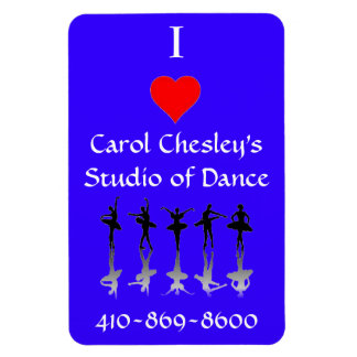 Ímã Eu adoro o CCSD Magnet