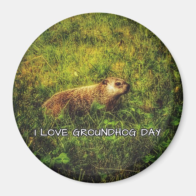 Imã Eu adoro o ímã do Dia da Marmota (Frente)