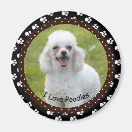 Imã Eu adoro Poodles Magnet