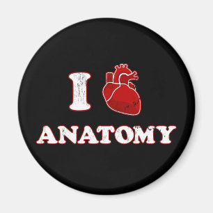 Imã eu amo a anatomia