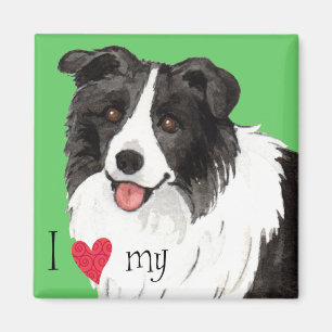 Imã Eu Amo a minha Borda Collie