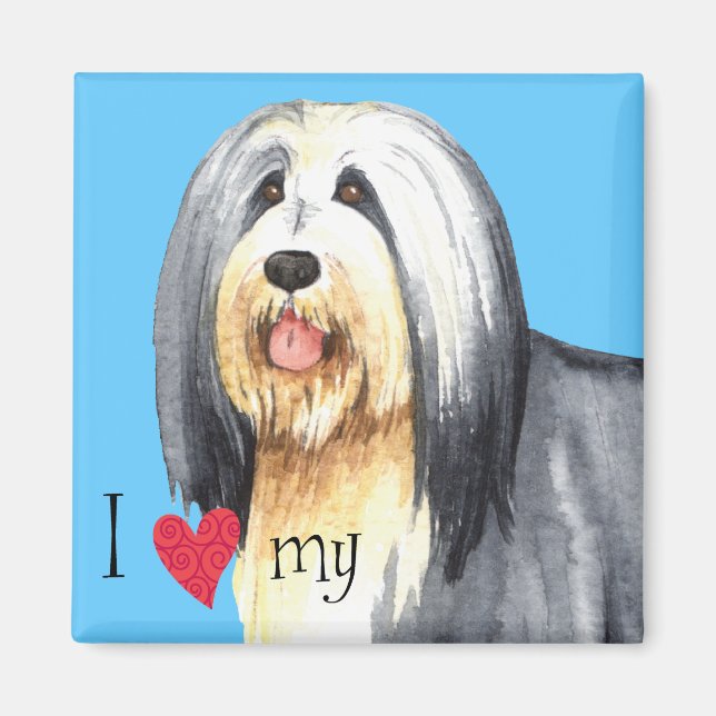Imã Eu Amo a minha Collie (Frente)