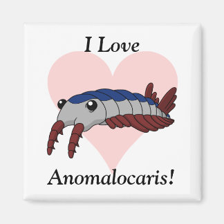 Imã Eu Amo Anomalocaris!
