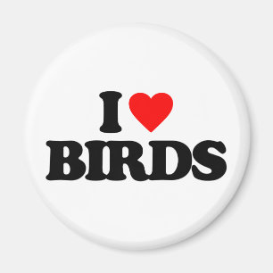 IMÃ EU AMO AVES