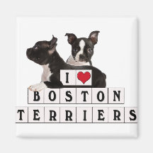 EU AMO BLOCOS DE BOSTON TERRIERS