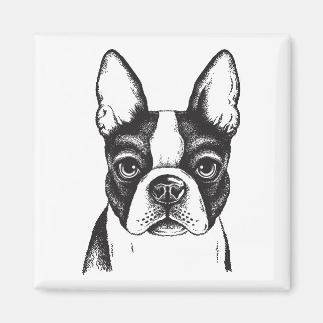 Imã Eu amo Boston Terriers (Frente)