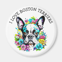 Eu Amo Boston Terriers