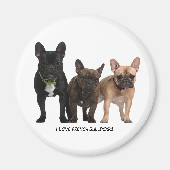 Imã Eu amo Bulls Franceses (Frente)