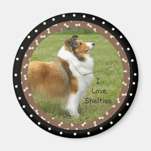 Imã Eu amo cães de Sheltie