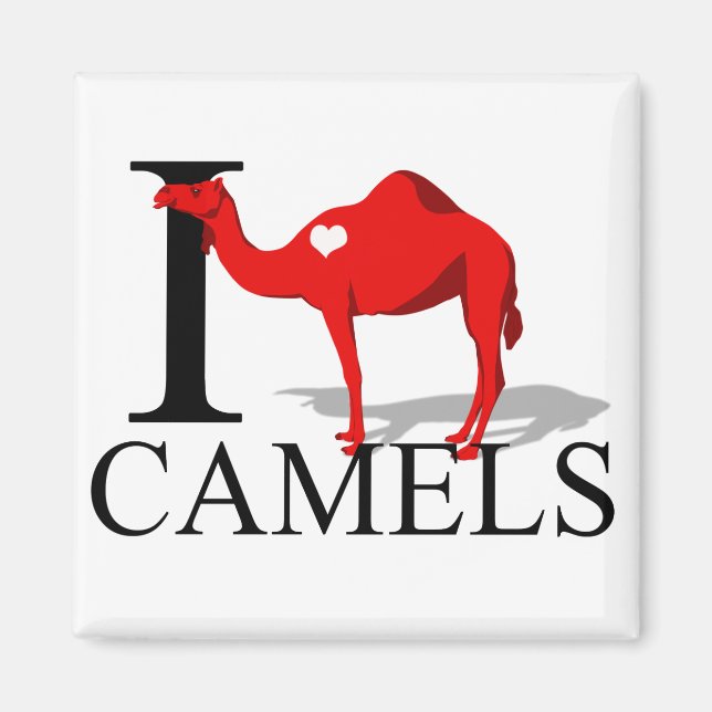 Imã Eu Amo Camelos Magnets (Frente)